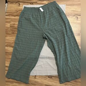 Aerie green pants